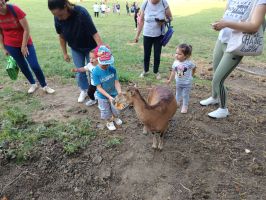 IMG 20250617 174910