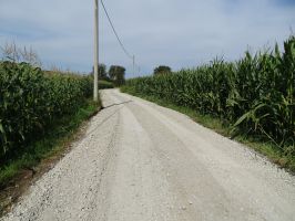 DSC00715