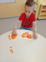 IMG 20260213 092946