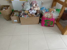 IMG 20250716 091727