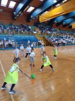 IMG 20260516 111404