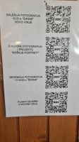 IMG-9816d119723eb063c9f8525c2391b083-V