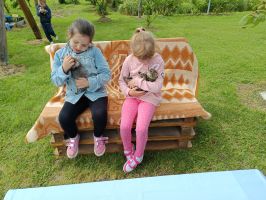 IMG 20250520 100623