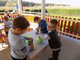 DSCN0156