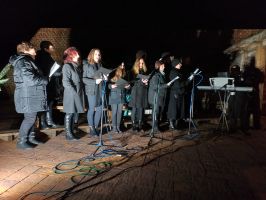 IMG-2e5a5e2386a62be655691e353f3e6e59-V