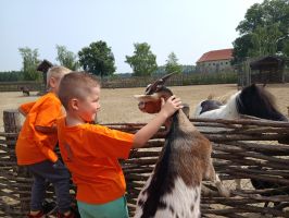 IMG 20250611 101728