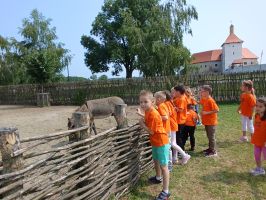 IMG 20250611 102910